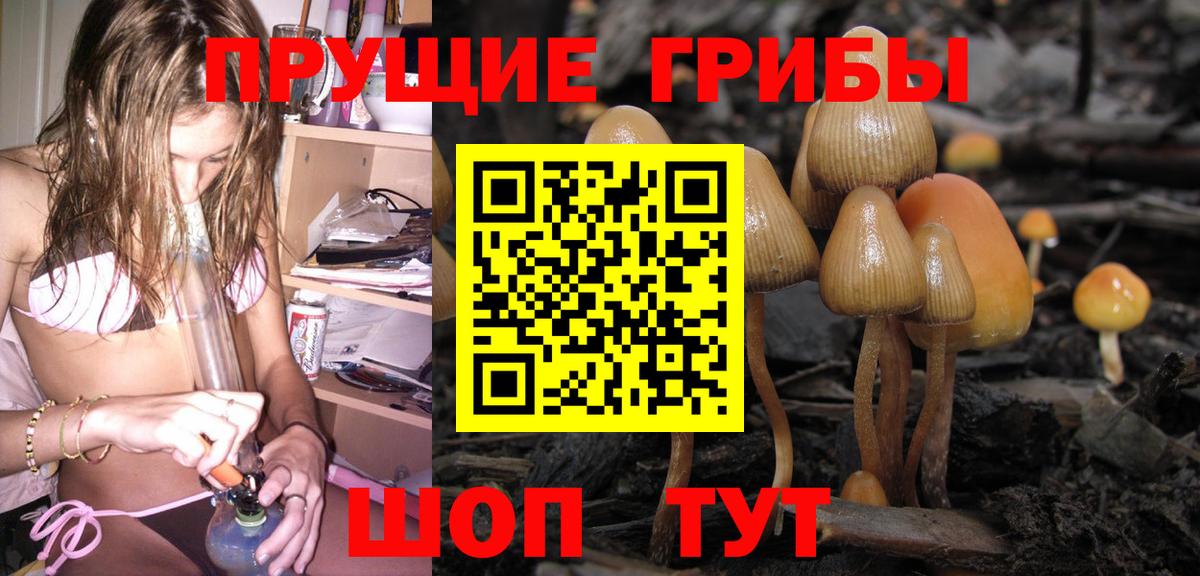 Галлюциногенные грибы мухоморы Заводоуковск
