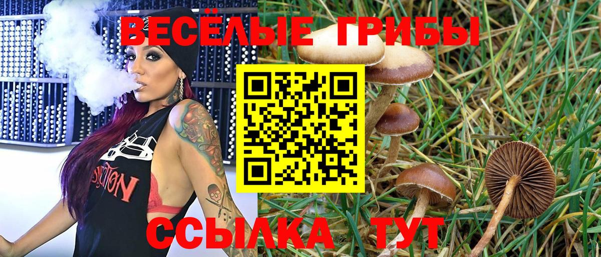 Псилоцибиновые грибы MAGIC MUSHROOMS  Галлюциногенные грибы Psilocybe  Вход с VPN  Заводоуковск 